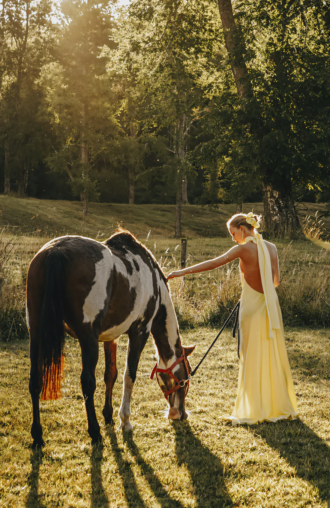 Sunlit Grace Dress