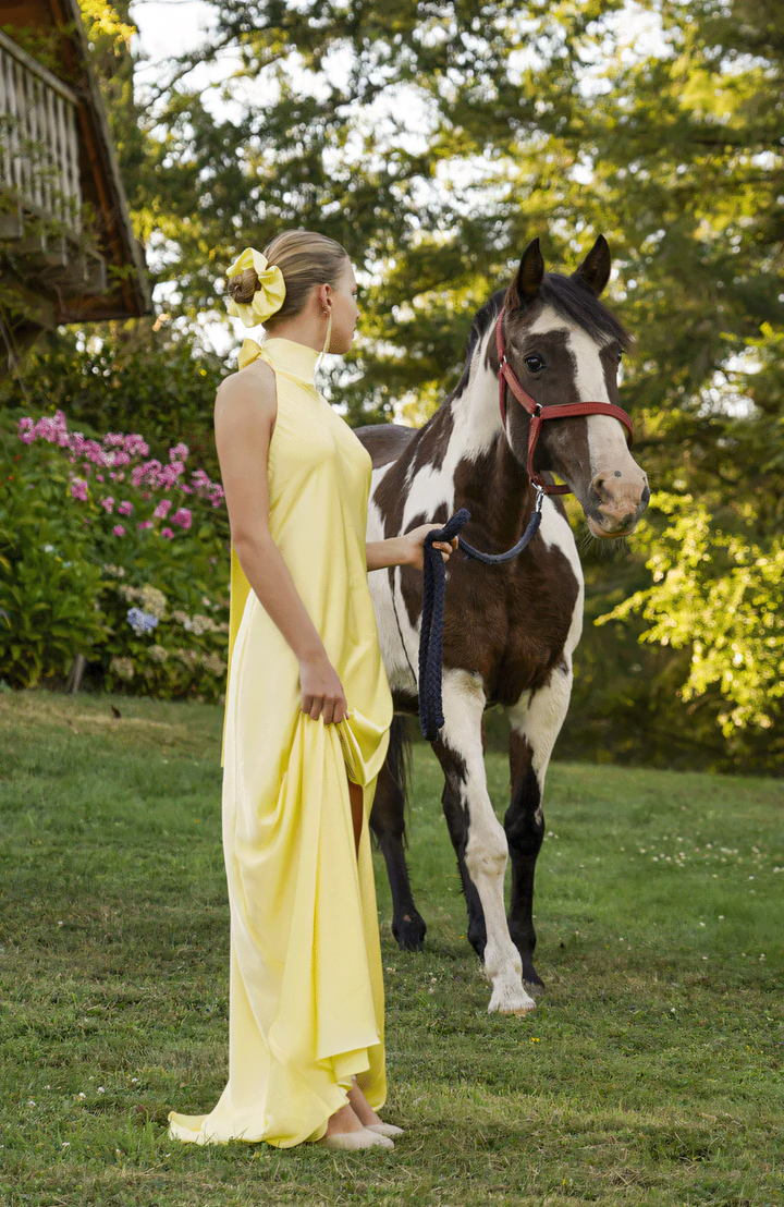 Sunlit Grace Dress